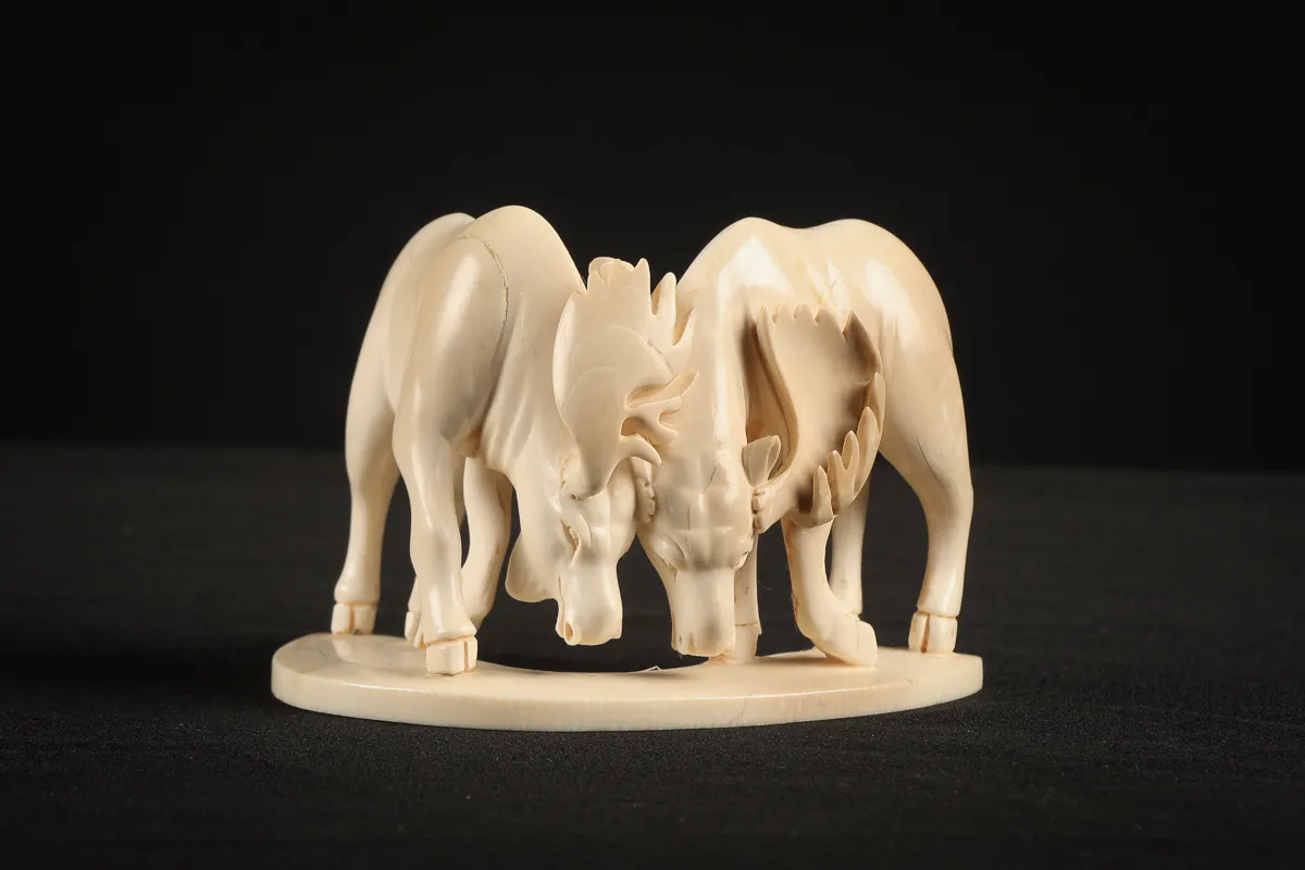 Mammoth Tusk Moose