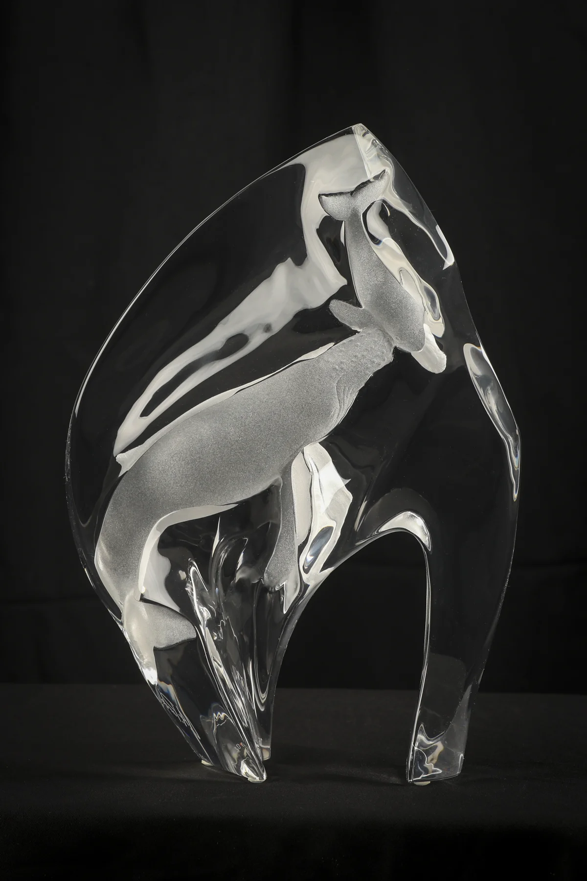 Humpback Spirit