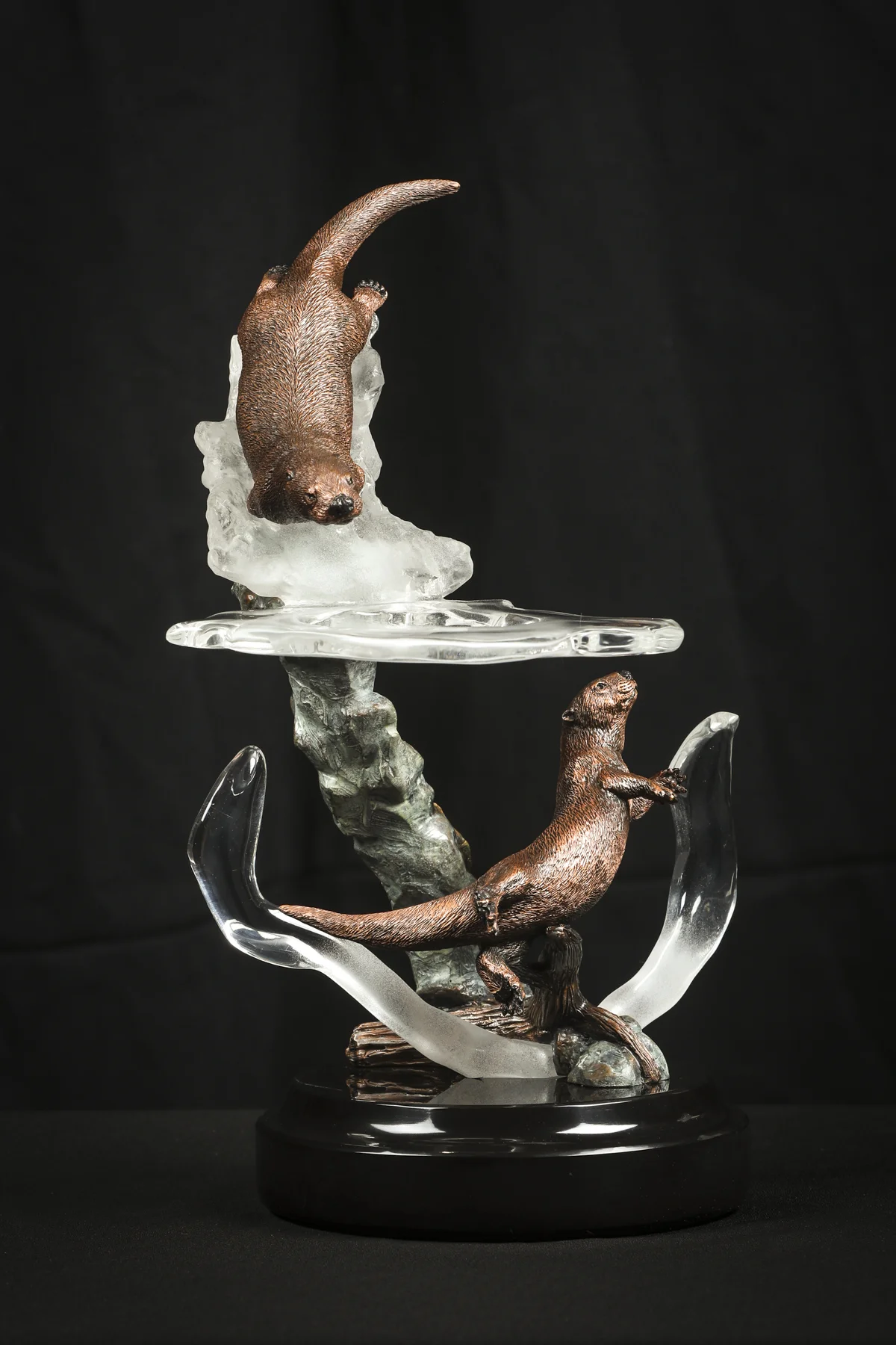 Ice Follies