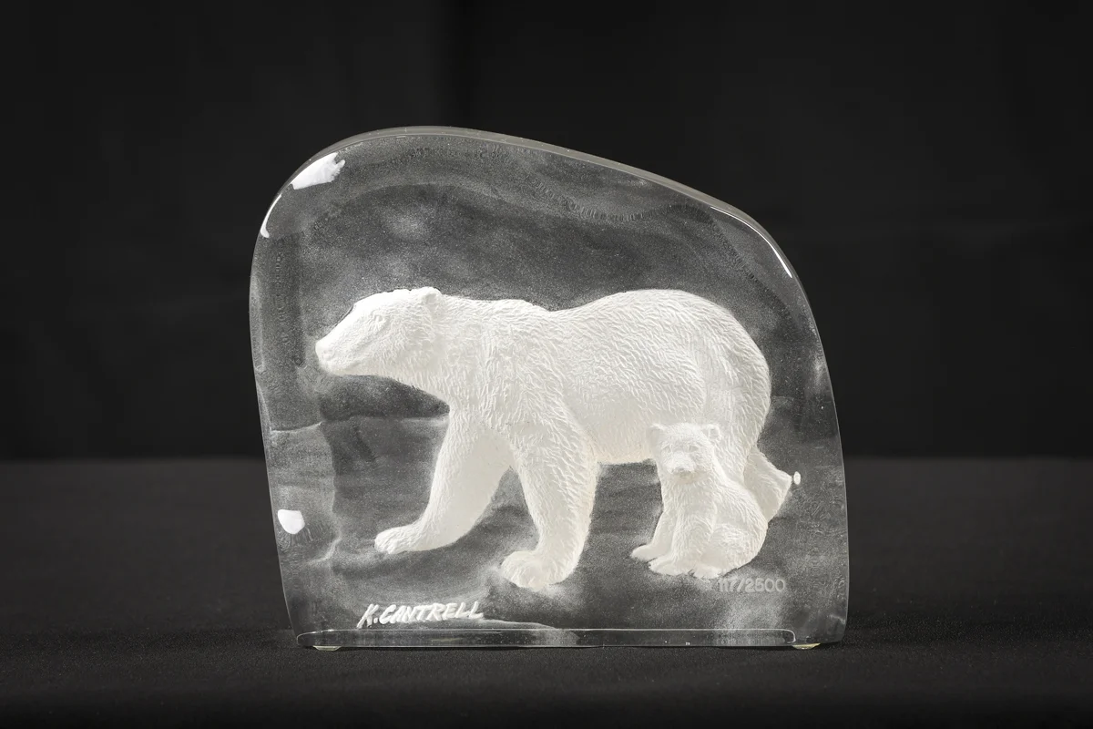 Polar Bear