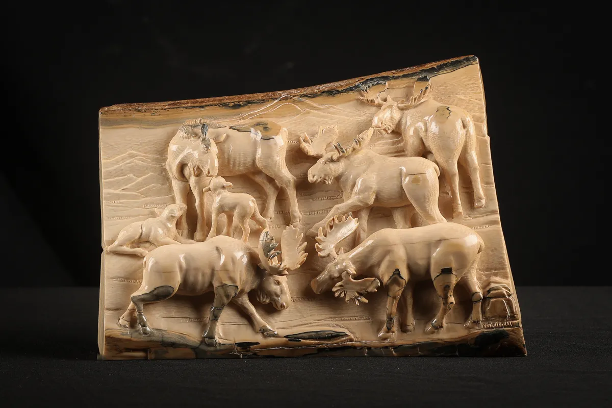 Mammoth Tusk Herd of Moose