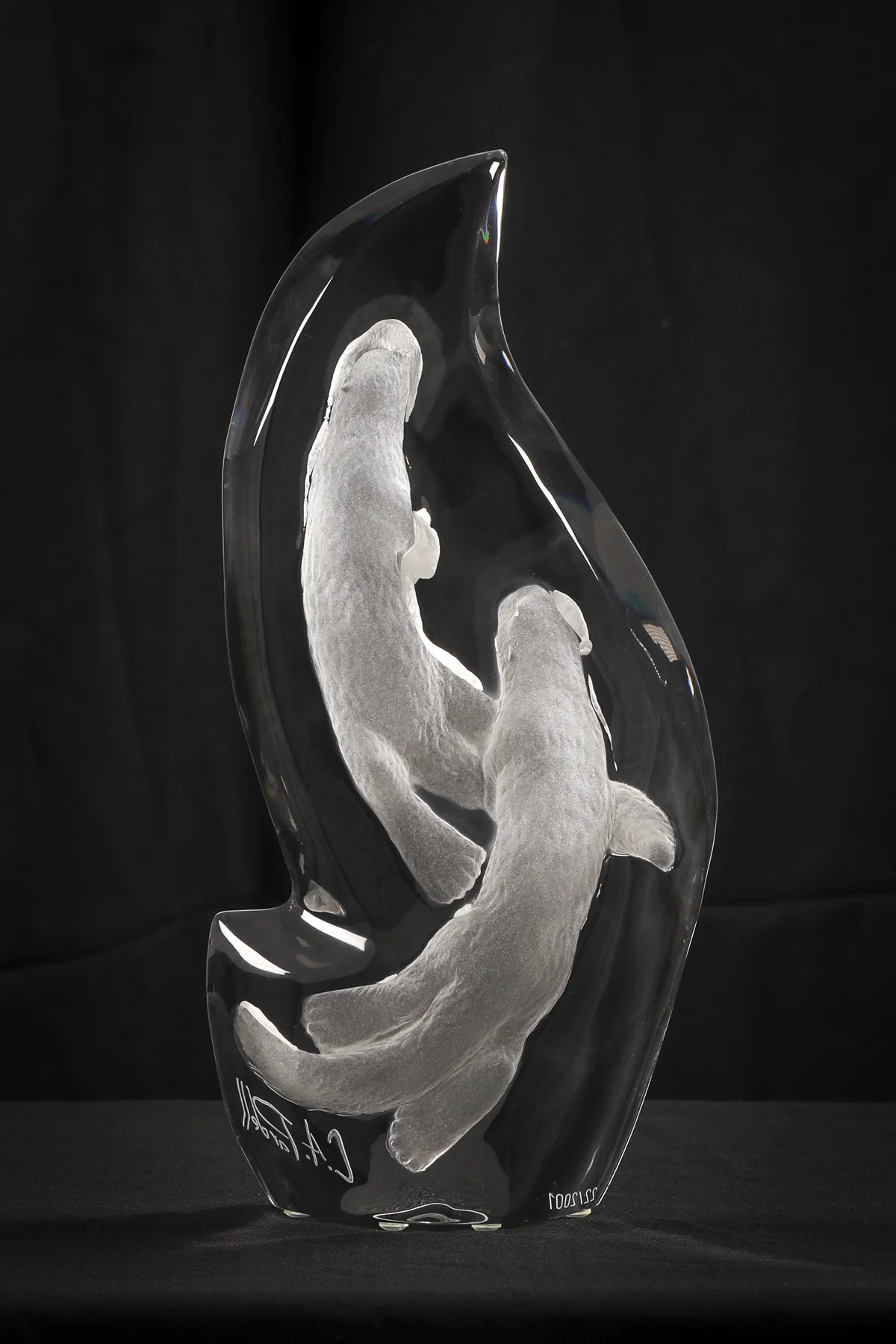 Sea Otter Spirit